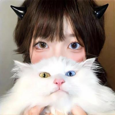 飞燕迎春